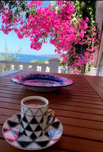 Sevinc Papatya House