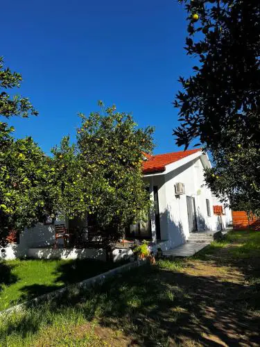 Citrus Guest House