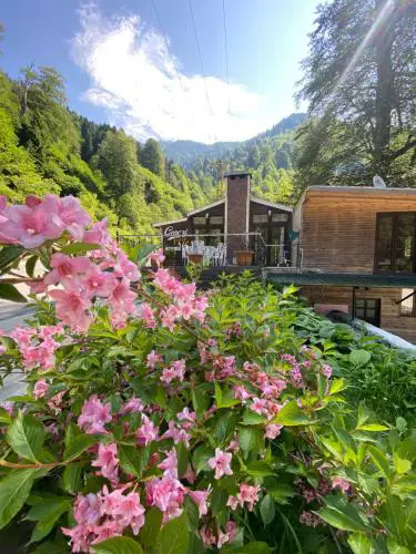Ayder Gencal Villa