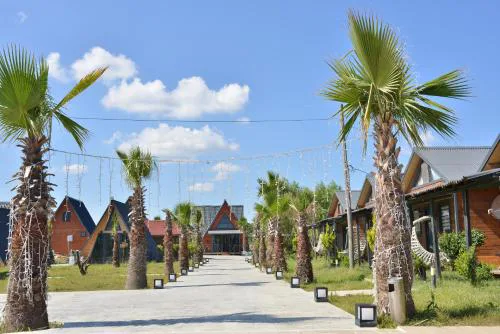 Palm Garden