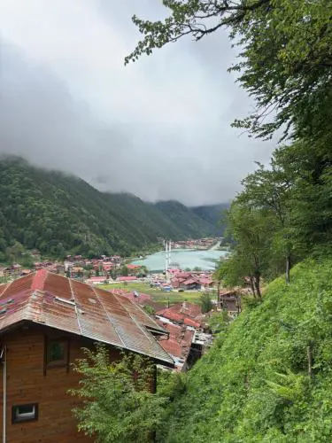 Şahin Home
