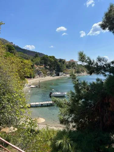 Denizevi Karvunyi