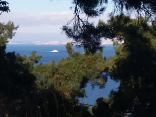 Apartament Ada