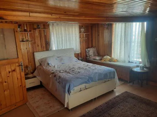 penthouse,wood wall,barbecue roof garden,authentic