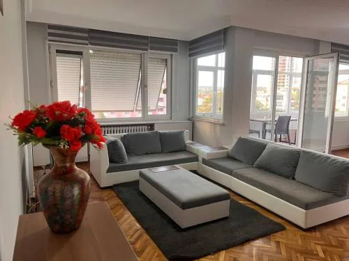Spacious flat with wide view