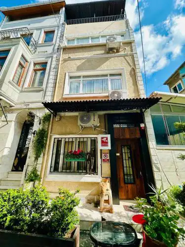 Viva Istanbul