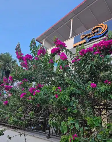 Avşa Güneş Otel