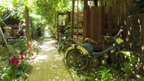 Olympos Natural Pansiyon
