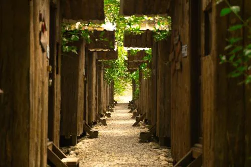 Olympos Yakamoz Pansiyon