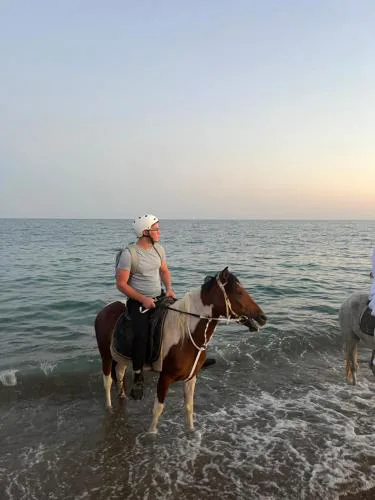 rodeo horse club