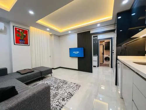 14 Laptop desk, TV Apartment