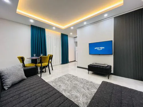 6 Centrally Located Spacious and Air Conditioned 1 plus 1 Apartment
