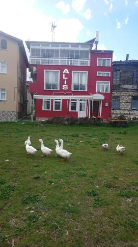 Ali's Pension ada alis