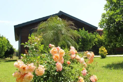 Çıralı Villa 2