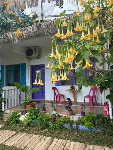 GAYA PANSİYON ÇIRALI